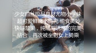 后入丁字裤少妇