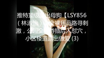 推特顶级露出母狗【LSY856（林淑怡）】全裸压马路寻刺激，公园全裸待插后入怼穴，小区楼道露出做爱 (3)