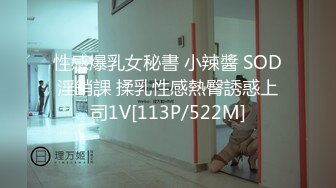 性感爆乳女秘書 小辣醬 SOD淫銷課 揉乳性感熱臀誘惑上司1V[113P/522M]