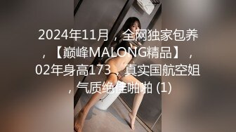 2024年11月，全网独家包养，【巅峰MALONG精品】，02年身高173，真实国航空姐，气质绝佳啪啪 (1)