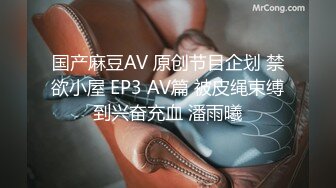 国产麻豆AV 原创节目企划 禁欲小屋 EP3 AV篇 被皮绳束缚到兴奋充血 潘雨曦