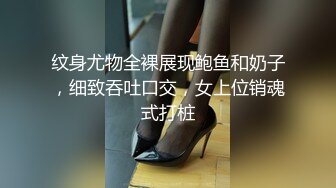 极品大奶美乳系列-高颜值超大胸器 大奶如牛  【274V】 (23)