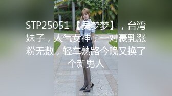 自录无水印【小姨姐】少妇淫水多多道具插不停4月19-5月16【33V】 (24)