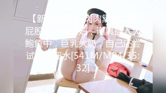 麻豆传媒 MD0182 诱人女上司 时间暂停肉欲泄愤 [MP4/667MB]