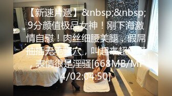 [MP4/679MB]糖心Vlog 偷情約單男巨屌爆插嫩穴 91XX君