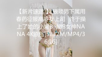 猫咪妹纸