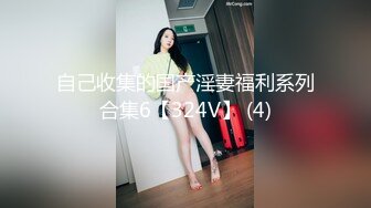 自己收集的国产淫妻福利系列合集6【324V】 (4)