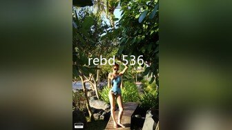 rebd-536