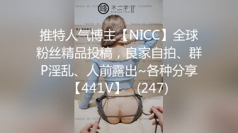 推特人气博主【NICC】全球粉丝精品投稿，良家自拍、群P淫乱、人前露出~各种分享【441V】   (247)