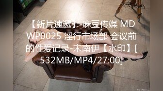 [MP4/980M]3/30最新 粉红情趣漏奶内衣猫耳朵装扮自慰掰穴超级粉嫩VIP1196