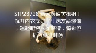 STP28728 新人颜值美御姐！解开内衣揉奶子！炮友舔骚逼，翘起肥臀假屌磨蹭，骑乘位插入低低呻吟