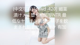 麻豆传媒MDX-0238-1时间停止器之痴女空姐的逆袭-寻小小【MP4/250MB】