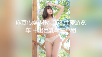 麻豆传媒 MM-068 性爱游览车 中出巨乳车掌小姐