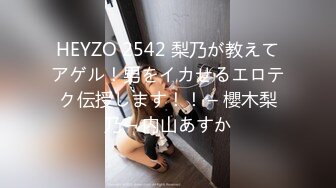 HEYZO 2542 梨乃が教えてアゲル！男をイカせるエロテク伝授します！！ – 櫻木梨乃 – 内山あすか