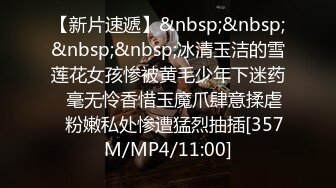 2021十二月最新流出TW厕拍大神（野狼）潜入景区女厕偷拍美女尿尿系列第9季眼镜妹淡定蹲在厕兜上尿尿