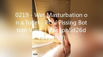 0219 - Wet Masturbation on a Toilet - POV Pissing Bottom View ｜ Era (ph5d26d4b43890f)