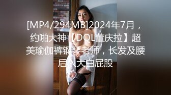 HND-329 挿入とフェラを繰り返す生しゃぶり中出し美少女 椎名そら