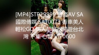 [MP4]STP29999 國產AV SA國際傳媒 SAT0073 香車美人輕松GO 情人節輕松暢遊台北灣 下集 心萱 VIP0600