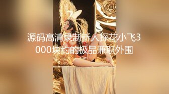 源码高清录制新人探花小飞3000块约的极品兼职外围