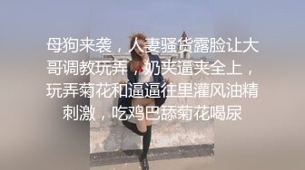 《绿帽娇妻㊙️新瓜速吃》最近一直在给骚母狗老婆洗脑，她也答应允许我彻底的展示她淫贱的样子 让老婆画着精致的妆容去接待不同的男人