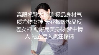 高跟翘臀大长腿 极品身材气质尤物女神 天花板级极品反差女神 劲爆完美身材 梦中情人 站立后入疯狂榨精