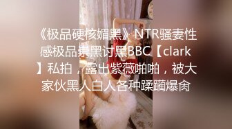 操了个穿着女仆装带着猫咪面具的极品