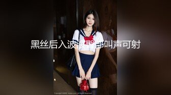 黑丝后入波浪臀部叫声可射