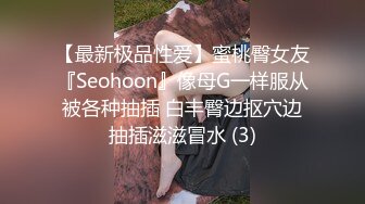 【最新极品性爱】蜜桃臀女友『Seohoon』像母G一样服从被各种抽插 白丰臀边抠穴边抽插滋滋冒水 (3)