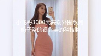 小飞哥3000元高端外围系列 奶子整的很完美的科技脸