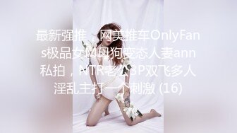 最新强推，网美推车OnlyFans极品女M母狗变态人妻ann私拍，NTR老公3P双飞多人淫乱主打一个刺激 (16)