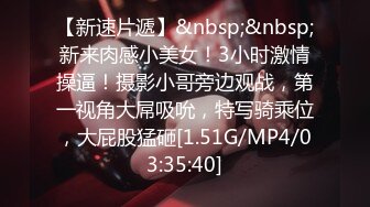 可以做爱的胸部ＰＵＢ２