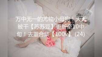 万中无一的尤物小母狗！天天被干【苏苏豆】更新至10中旬！去重合集【100v】 (24)