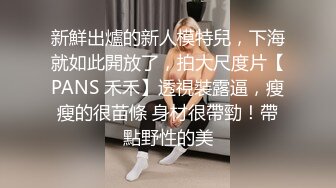 新鮮出爐的新人模特兒，下海就如此開放了，拍大尺度片【PANS 禾禾】透視裝露逼，瘦瘦的很苗條 身材很帶勁！帶點野性的美