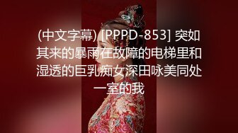 (中文字幕) [PPPD-853] 突如其来的暴雨在故障的电梯里和湿透的巨乳痴女深田咏美同处一室的我