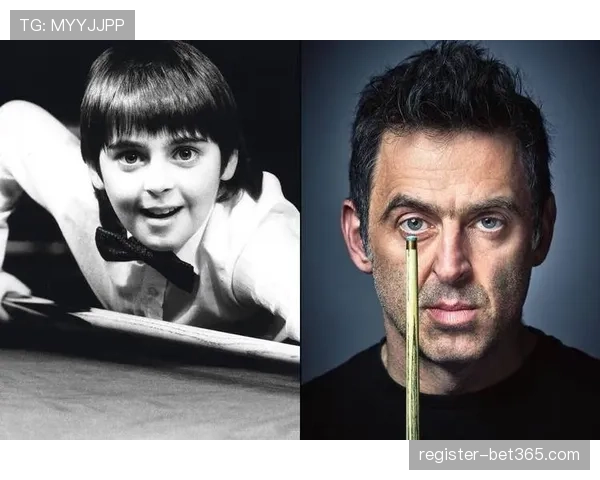 山东春节期,间公共体育,场馆持续对,sbo体育,bet9,sports官网,体育竞猜平台