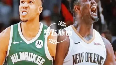 昨3胜2 猛龙对鹈鹕 NBA数据解读及专家推荐