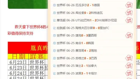 篮球信心之战2026世预赛突尼斯焦点解析